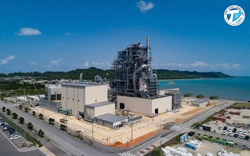 Nhà máy điện sinh khối tận dụng nguyên liệu hữu cơ để bổ sung nguồn cung điện.
